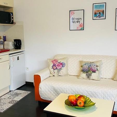 Superbe Appart Avec De Parking Gratuit Sur Place Lourdes Exterior photo